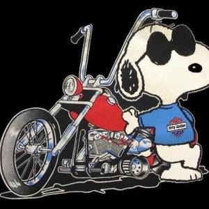 Meet your Posher, Bob